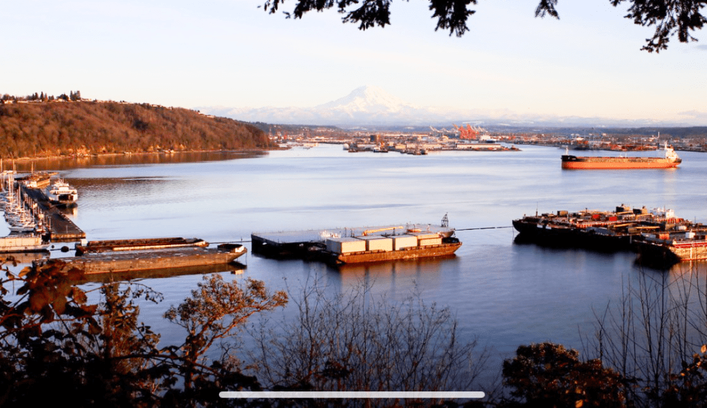 Federal Way Movers
