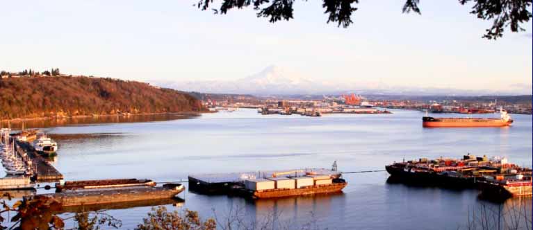 A scenic view of Tacoma, Washington's port from a hilltop, showcasing the bustling activity and waterfront charm, representing Tacoma movers.